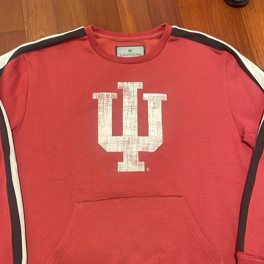IU Sweatshirt - super comfy -size large - Picture 2 of 5